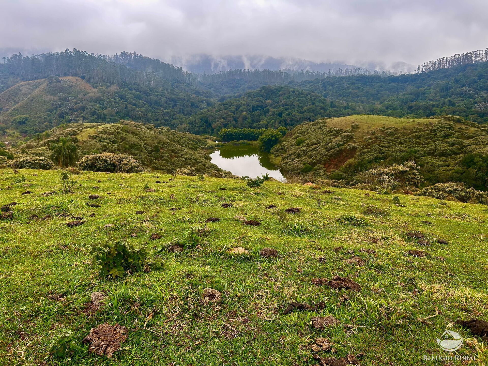 Fazenda à venda com 2 quartos, 2492600m² - Foto 22