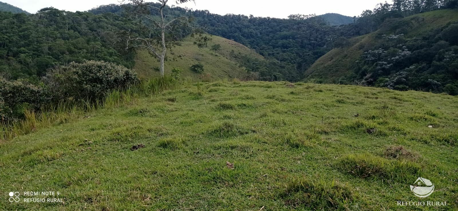 Fazenda à venda com 2 quartos, 2492600m² - Foto 28