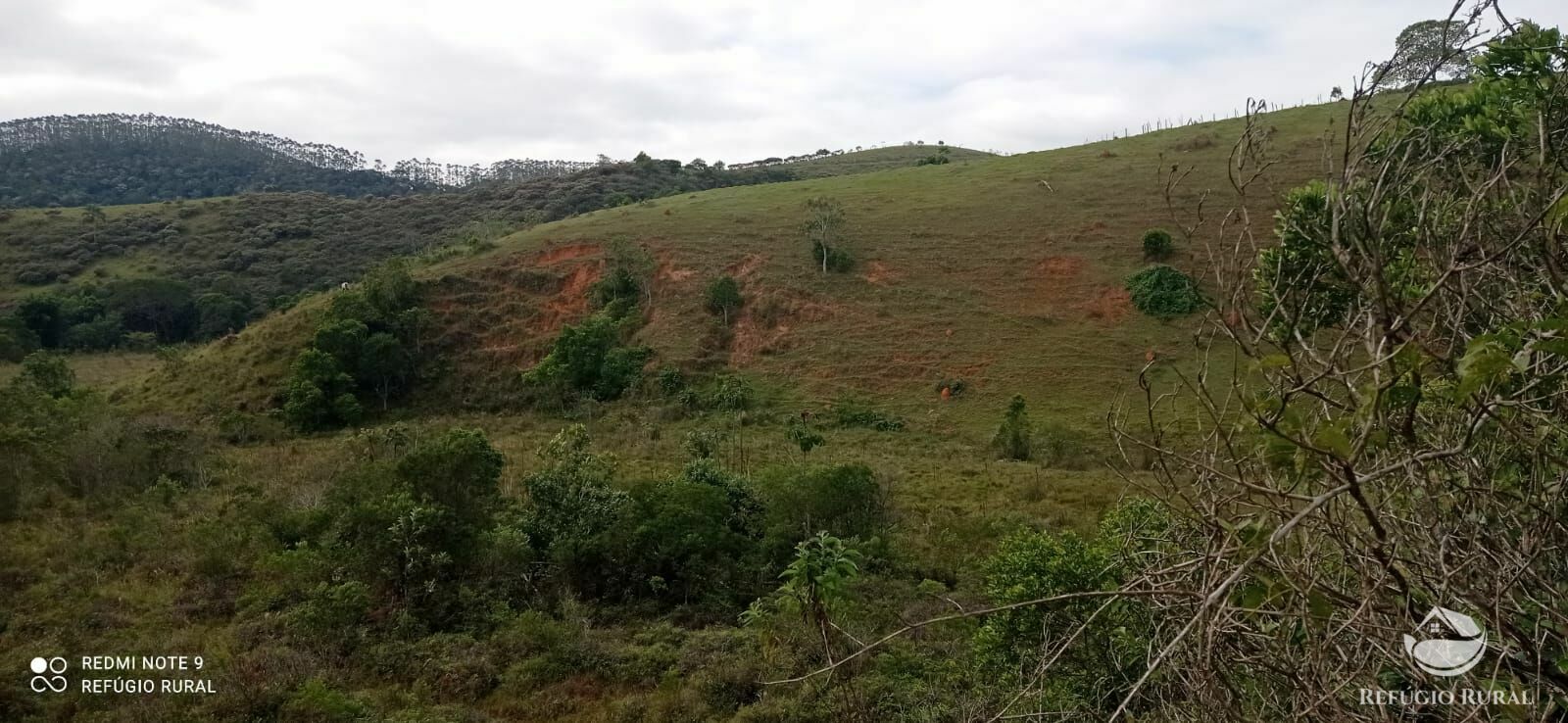 Fazenda à venda com 2 quartos, 2492600m² - Foto 37