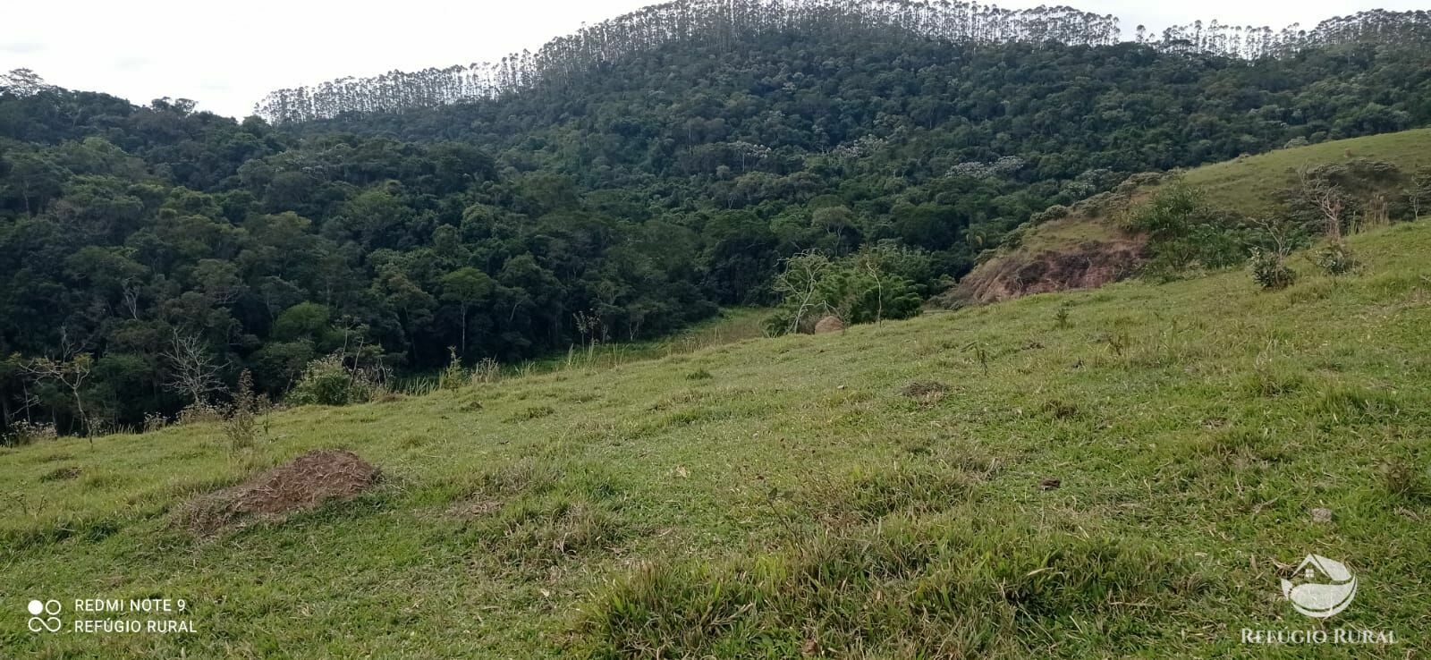 Fazenda à venda com 2 quartos, 2492600m² - Foto 26