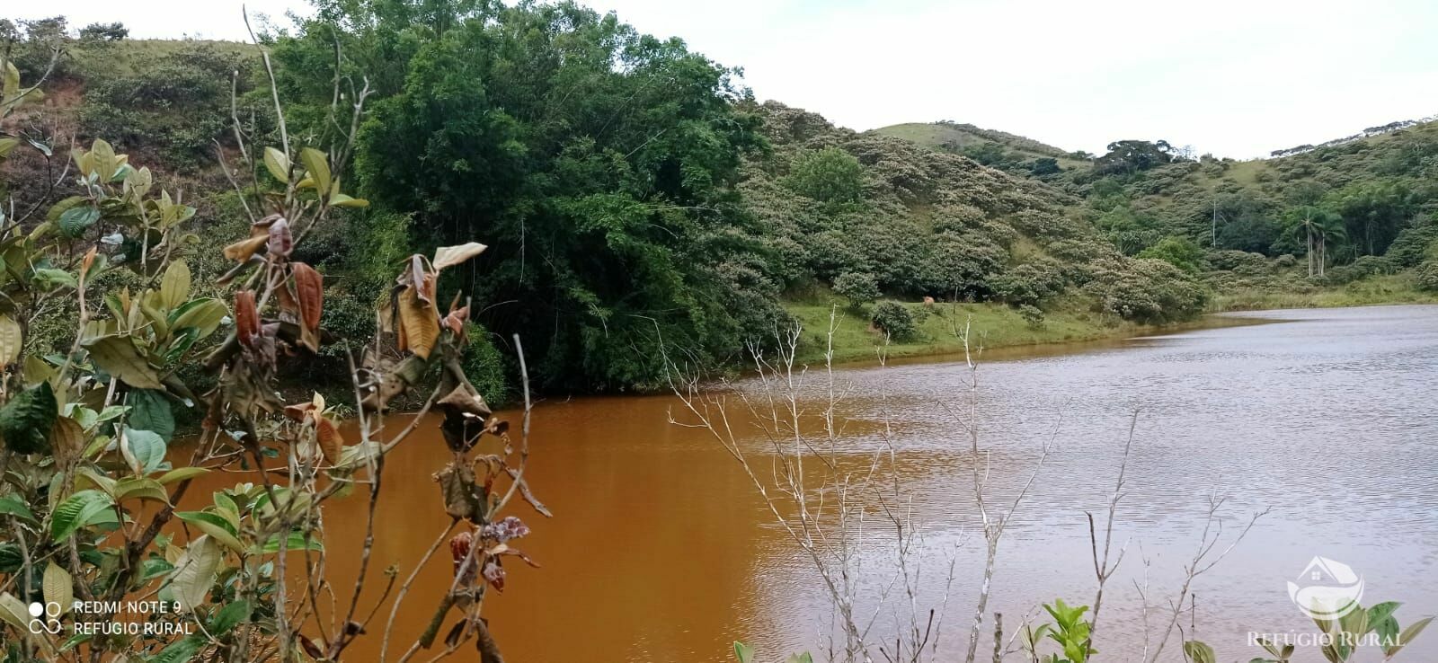 Fazenda à venda com 2 quartos, 2492600m² - Foto 36