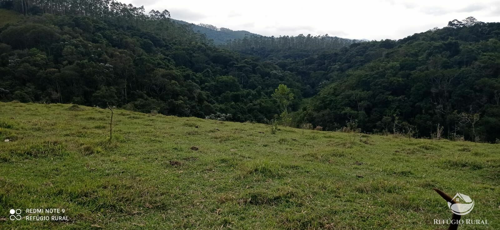 Fazenda à venda com 2 quartos, 2492600m² - Foto 24