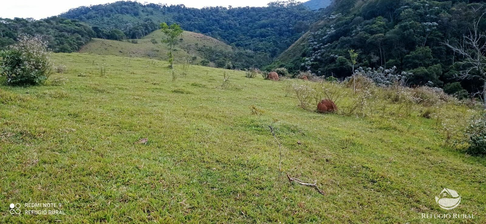 Fazenda à venda com 2 quartos, 2492600m² - Foto 31