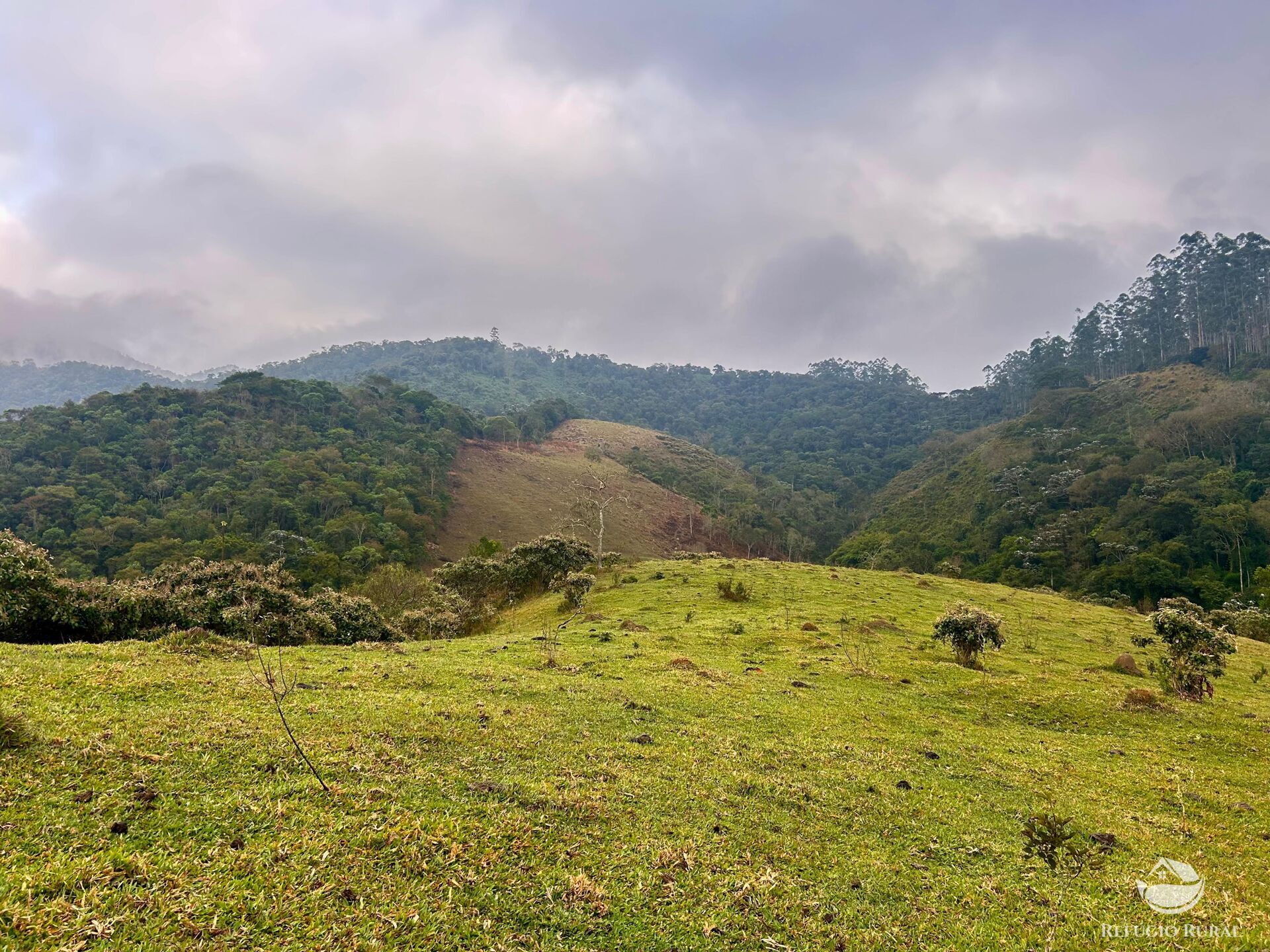 Fazenda à venda com 2 quartos, 2492600m² - Foto 39