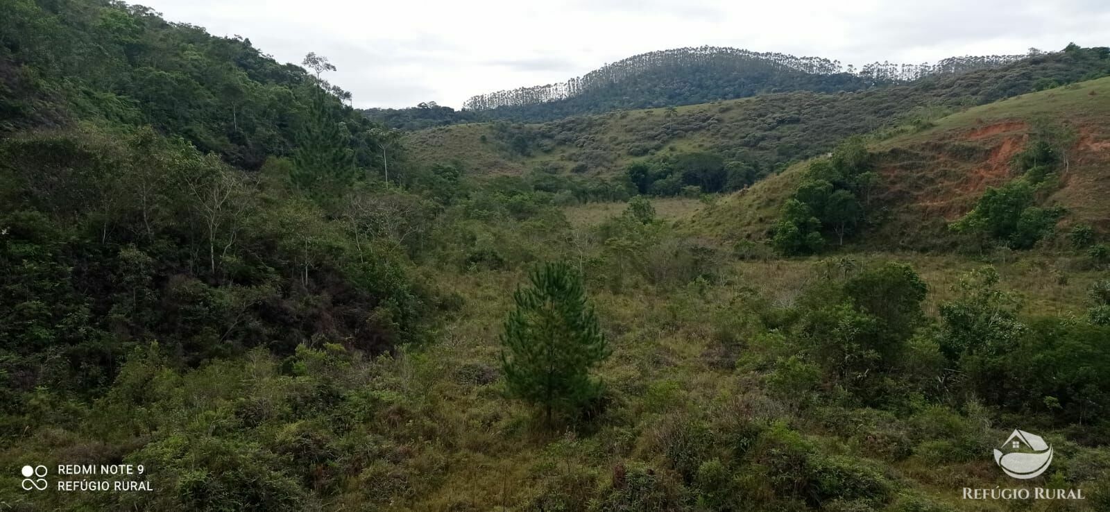 Fazenda à venda com 2 quartos, 2492600m² - Foto 38