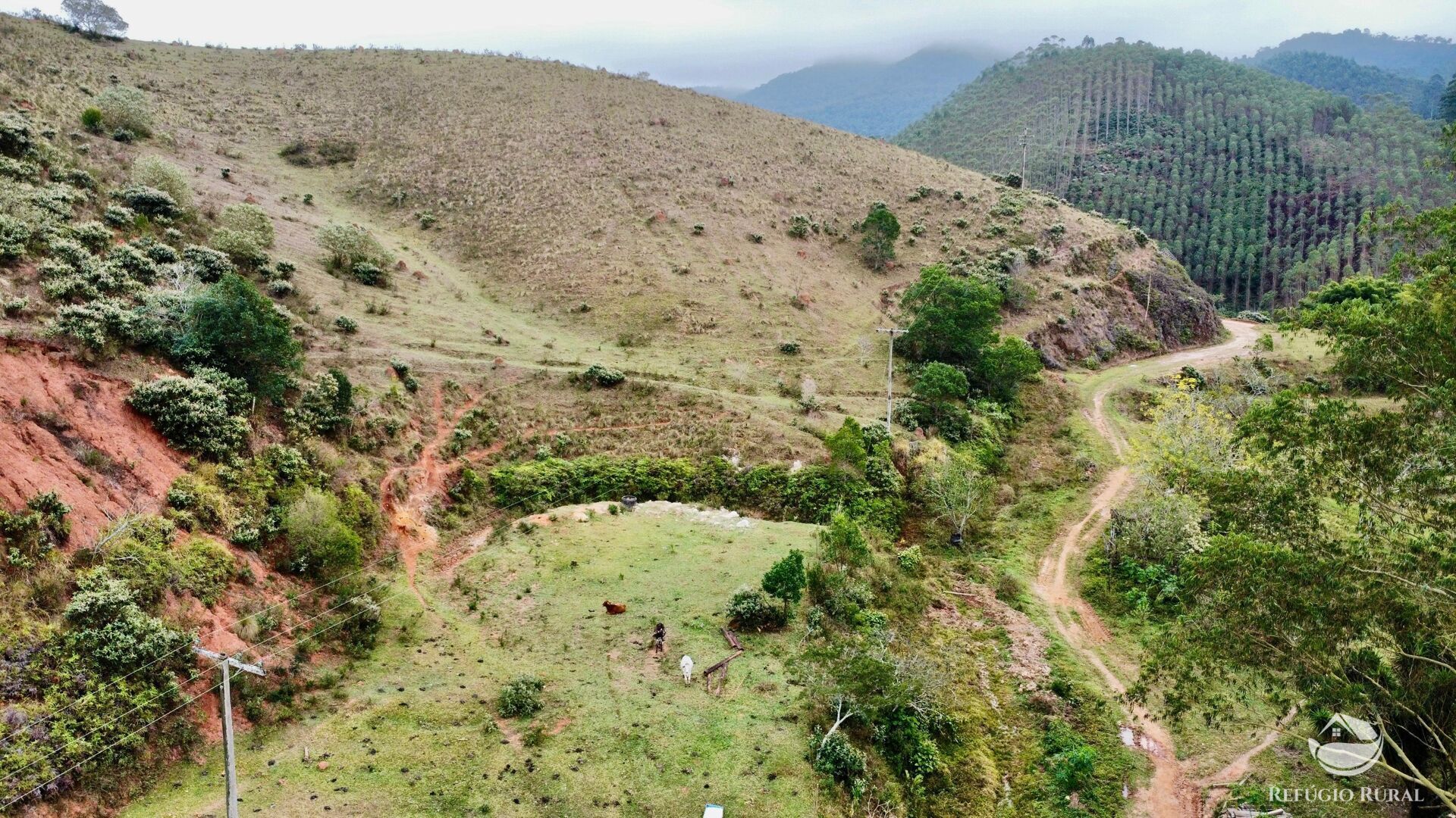 Fazenda à venda com 2 quartos, 2492600m² - Foto 5