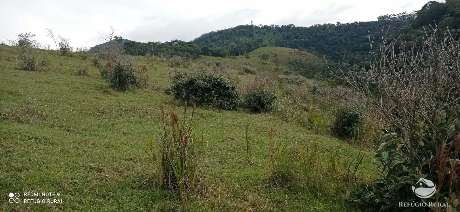 Fazenda à venda com 2 quartos, 2492600m² - Foto 30