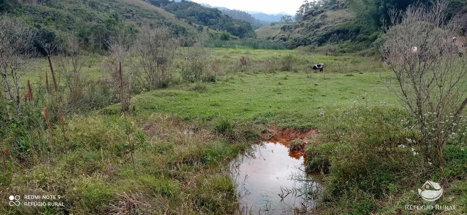 Fazenda à venda com 2 quartos, 2492600m² - Foto 47