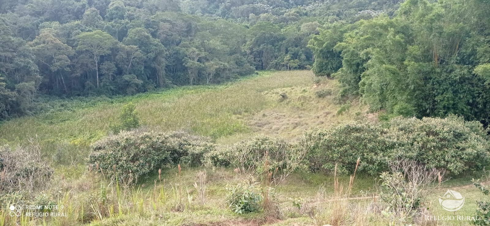 Fazenda à venda com 2 quartos, 2492600m² - Foto 34