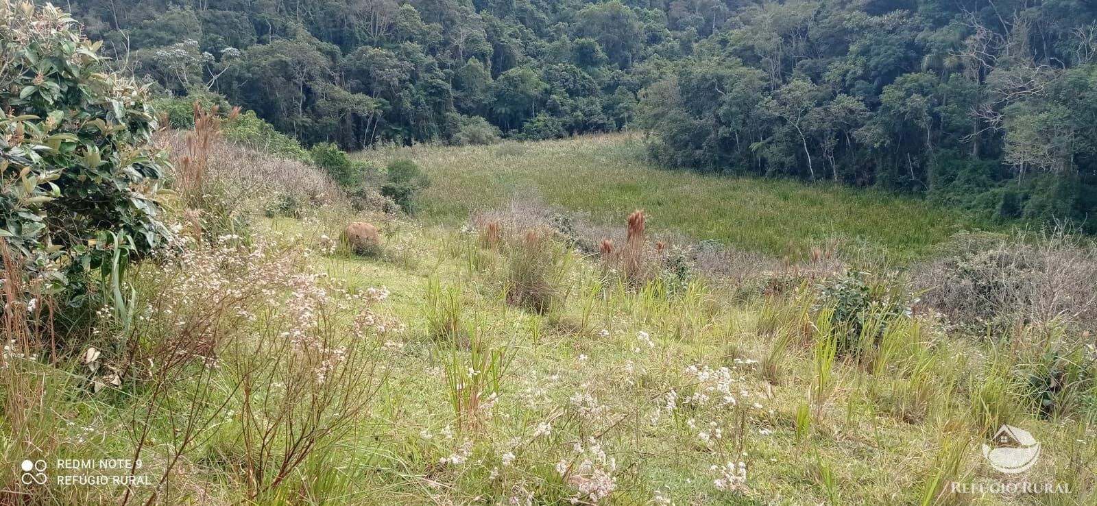 Fazenda à venda com 2 quartos, 2492600m² - Foto 33