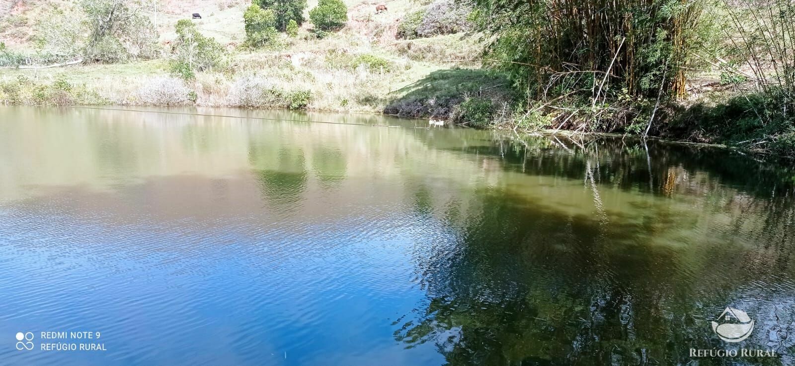 Fazenda à venda com 2 quartos, 2492600m² - Foto 10