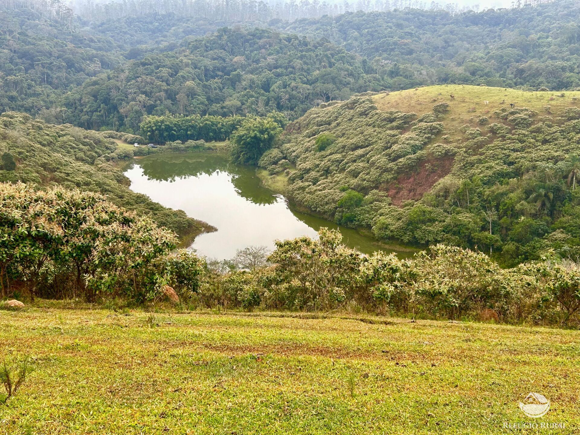Fazenda à venda com 2 quartos, 2492600m² - Foto 24