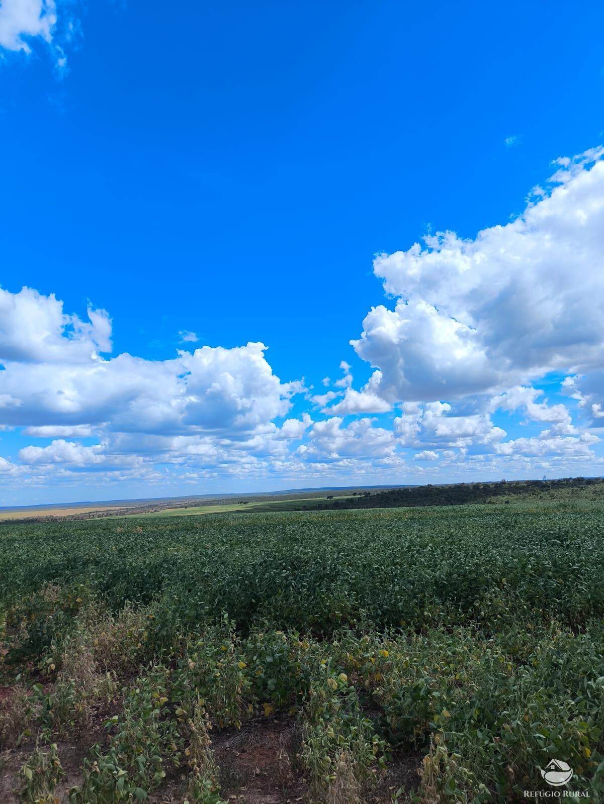Fazenda, 1070 hectares - Foto 1