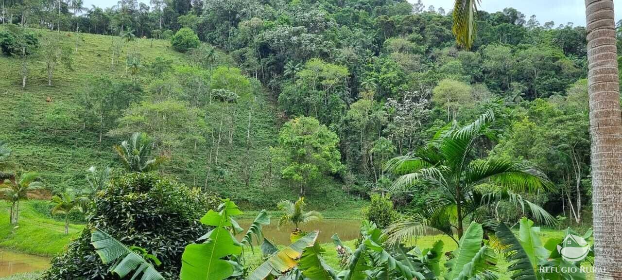 Fazenda à venda com 2 quartos, 72600m² - Foto 27