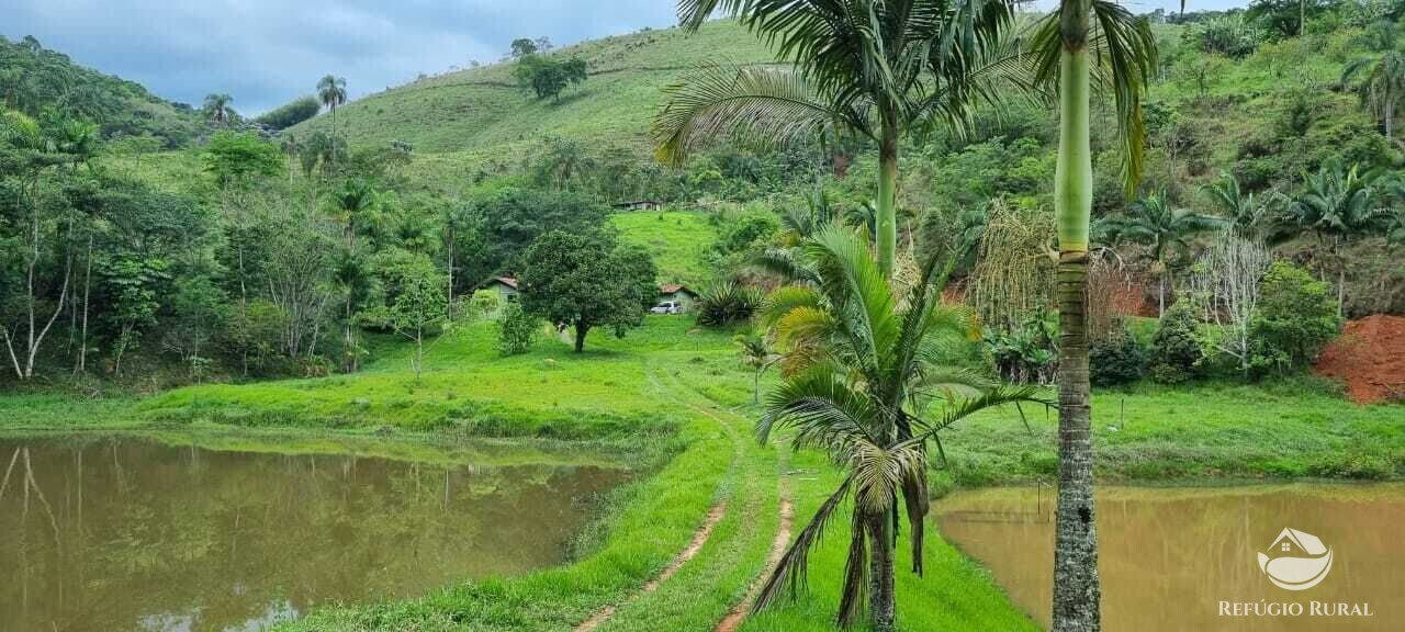 Fazenda à venda com 2 quartos, 72600m² - Foto 3