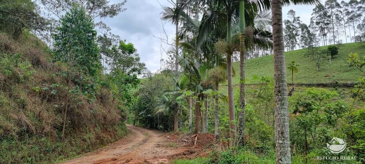 Fazenda à venda com 2 quartos, 72600m² - Foto 23