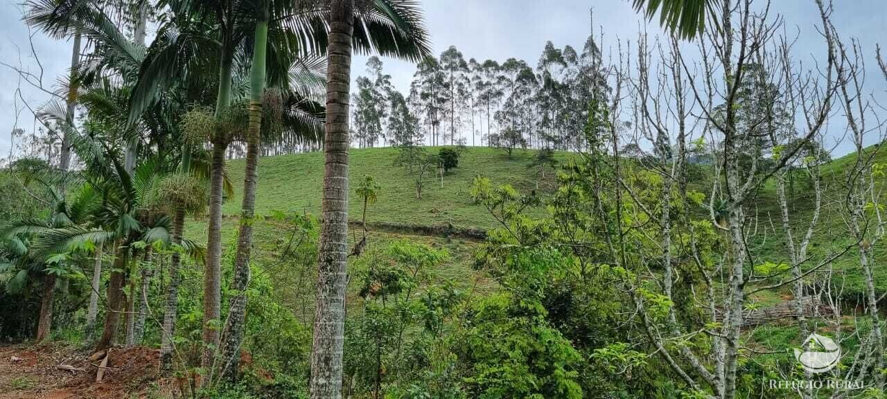 Fazenda à venda com 2 quartos, 72600m² - Foto 24