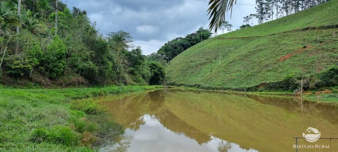 Fazenda à venda com 2 quartos, 72600m² - Foto 31