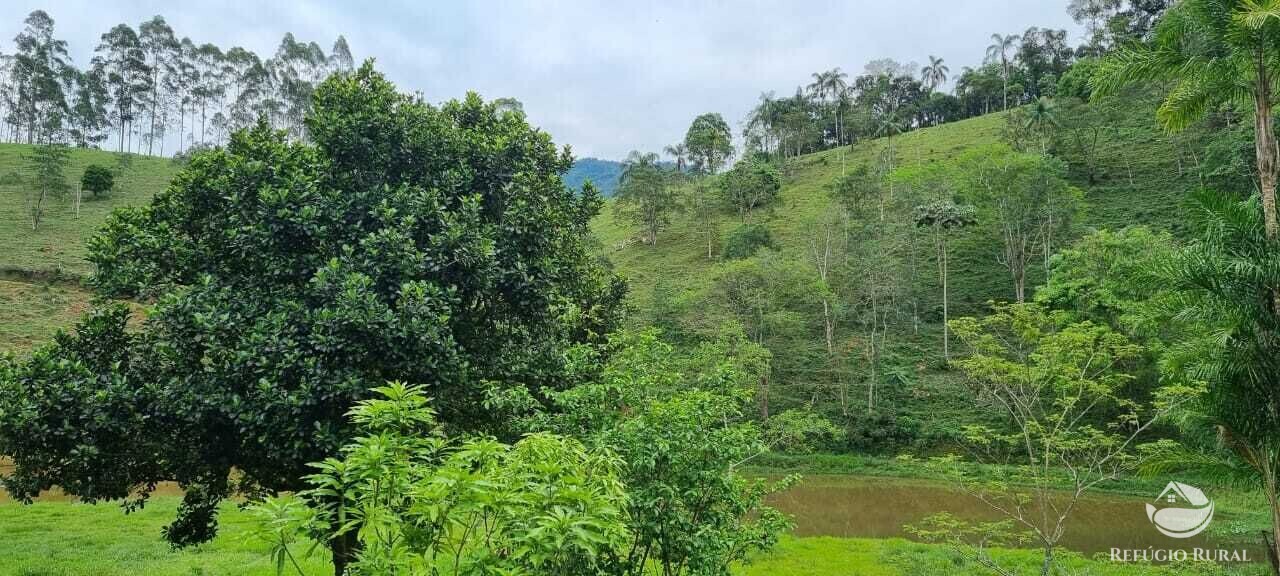 Fazenda à venda com 2 quartos, 72600m² - Foto 33