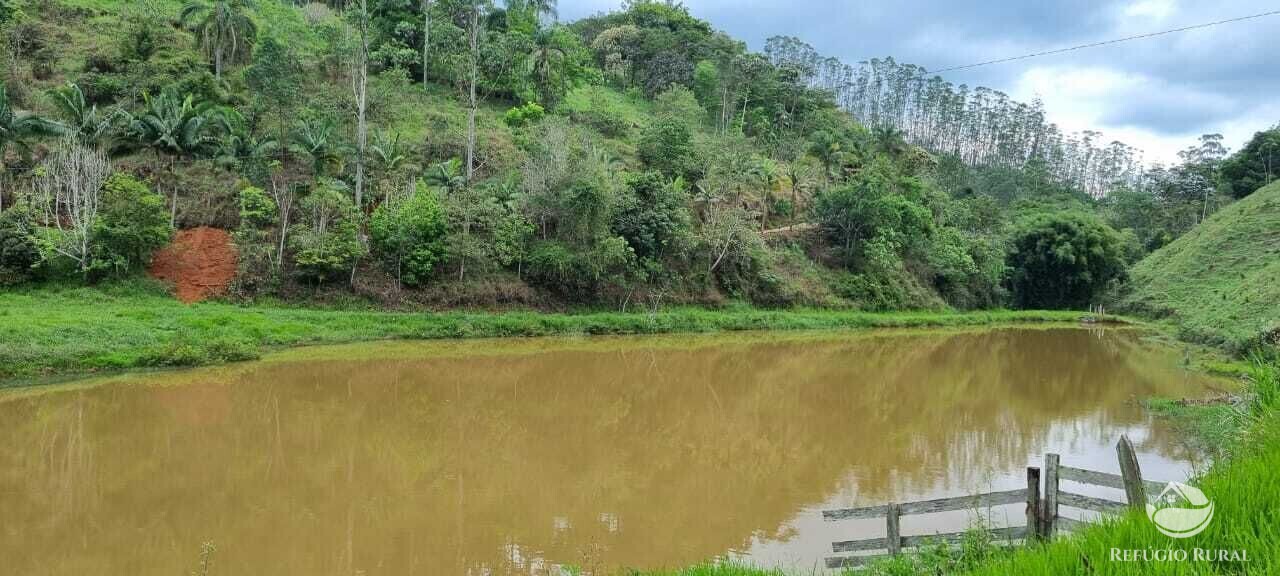 Fazenda à venda com 2 quartos, 72600m² - Foto 22