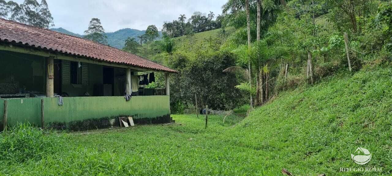 Fazenda à venda com 2 quartos, 72600m² - Foto 4