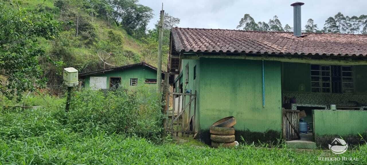 Fazenda à venda com 2 quartos, 72600m² - Foto 11