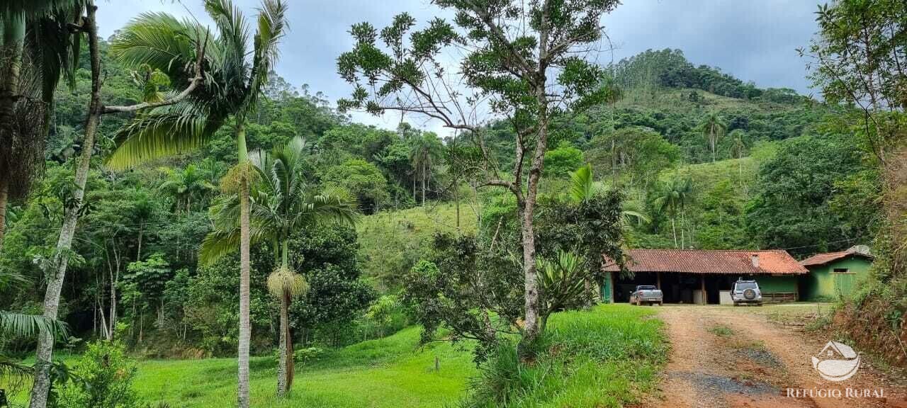 Fazenda à venda com 2 quartos, 72600m² - Foto 25