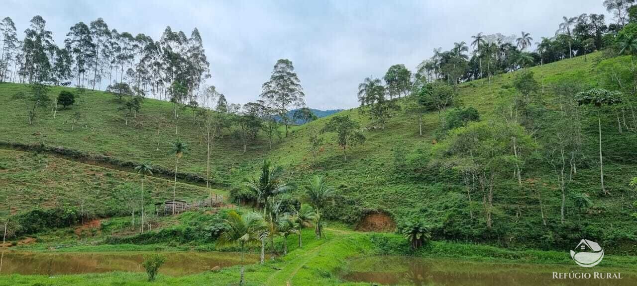 Fazenda à venda com 2 quartos, 72600m² - Foto 29