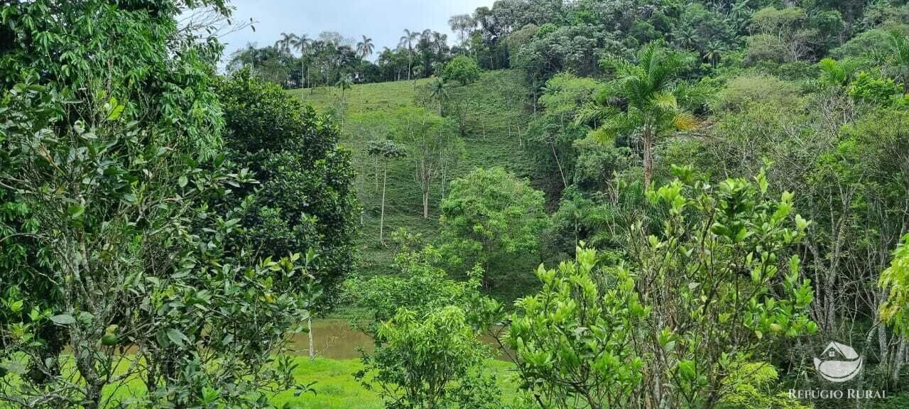 Fazenda à venda com 2 quartos, 72600m² - Foto 34