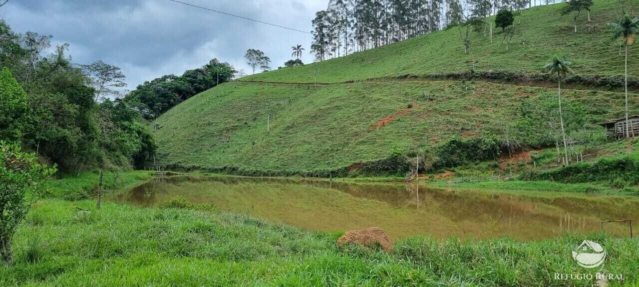 Fazenda à venda com 2 quartos, 72600m² - Foto 36