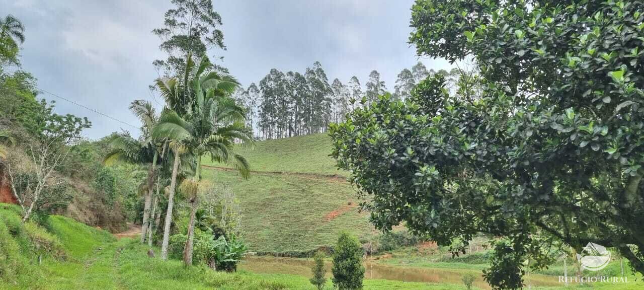 Fazenda à venda com 2 quartos, 72600m² - Foto 35