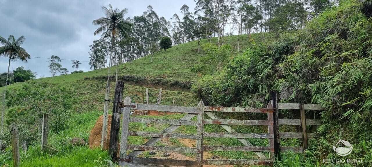 Fazenda à venda com 2 quartos, 72600m² - Foto 26