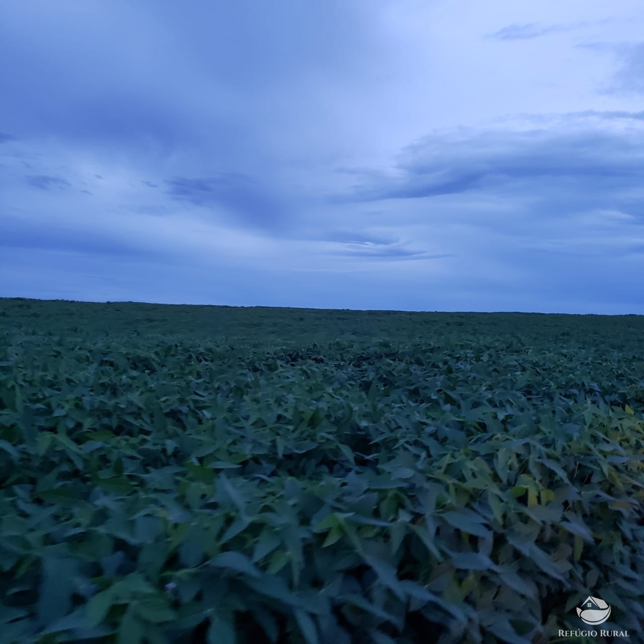 Fazenda à venda com 1 quarto, 37710000m² - Foto 21