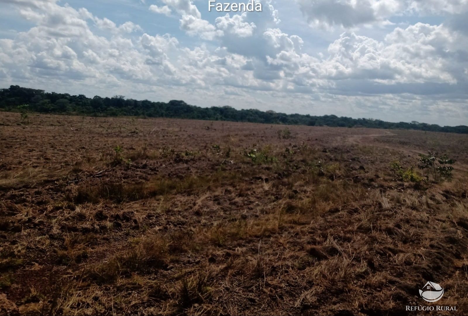 Fazenda à venda com 1 quarto, 37710000m² - Foto 10