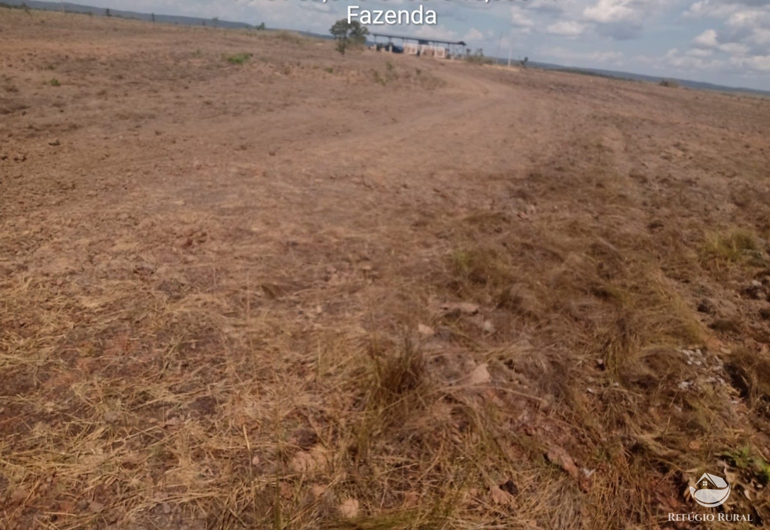 Fazenda à venda com 1 quarto, 37710000m² - Foto 18