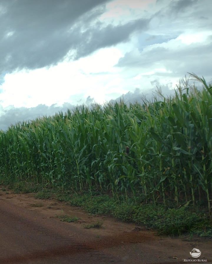 Fazenda à venda com 1 quarto, 37710000m² - Foto 24