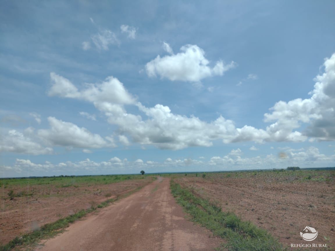 Fazenda à venda com 1 quarto, 37710000m² - Foto 6