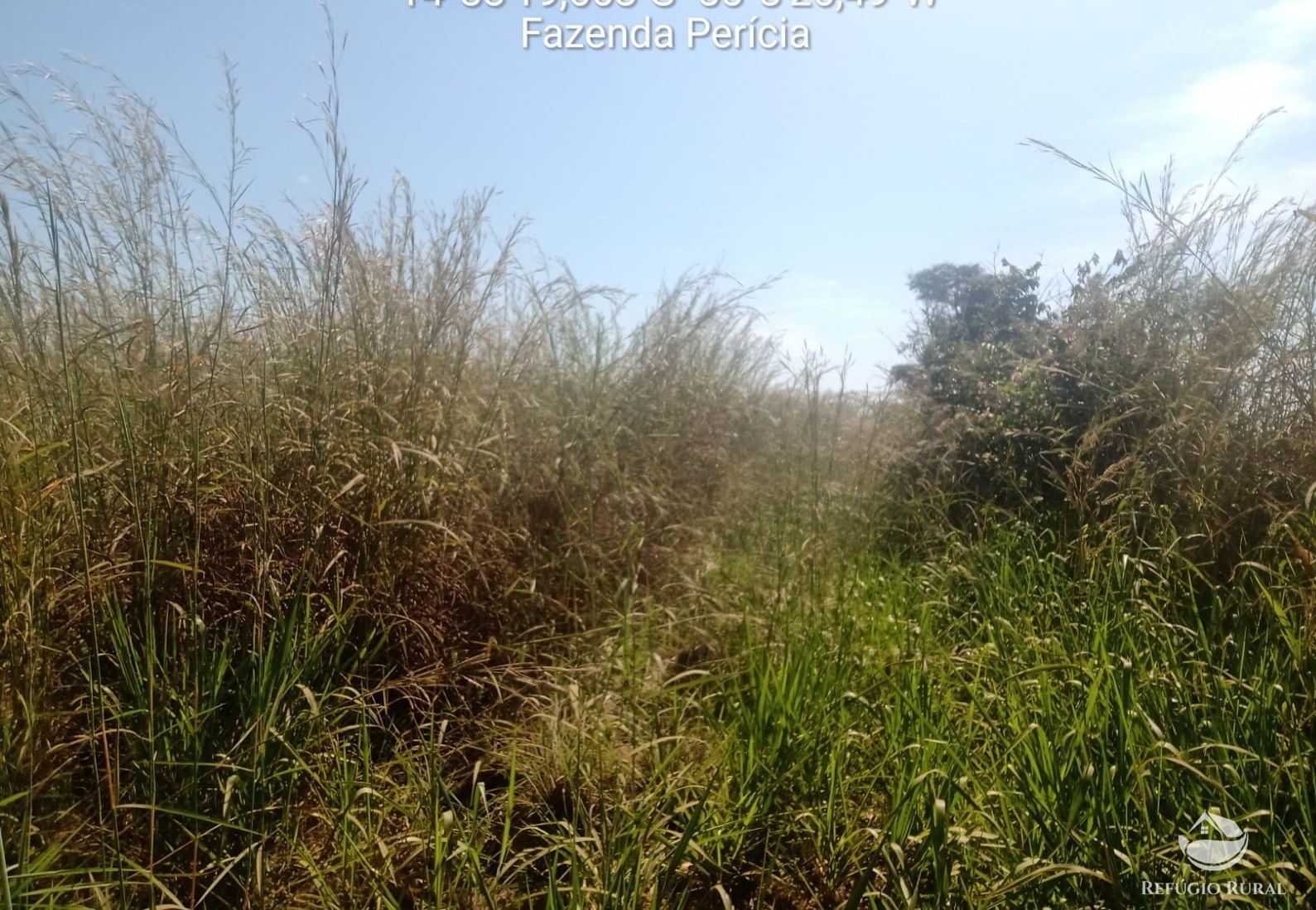 Fazenda à venda com 1 quarto, 37710000m² - Foto 15