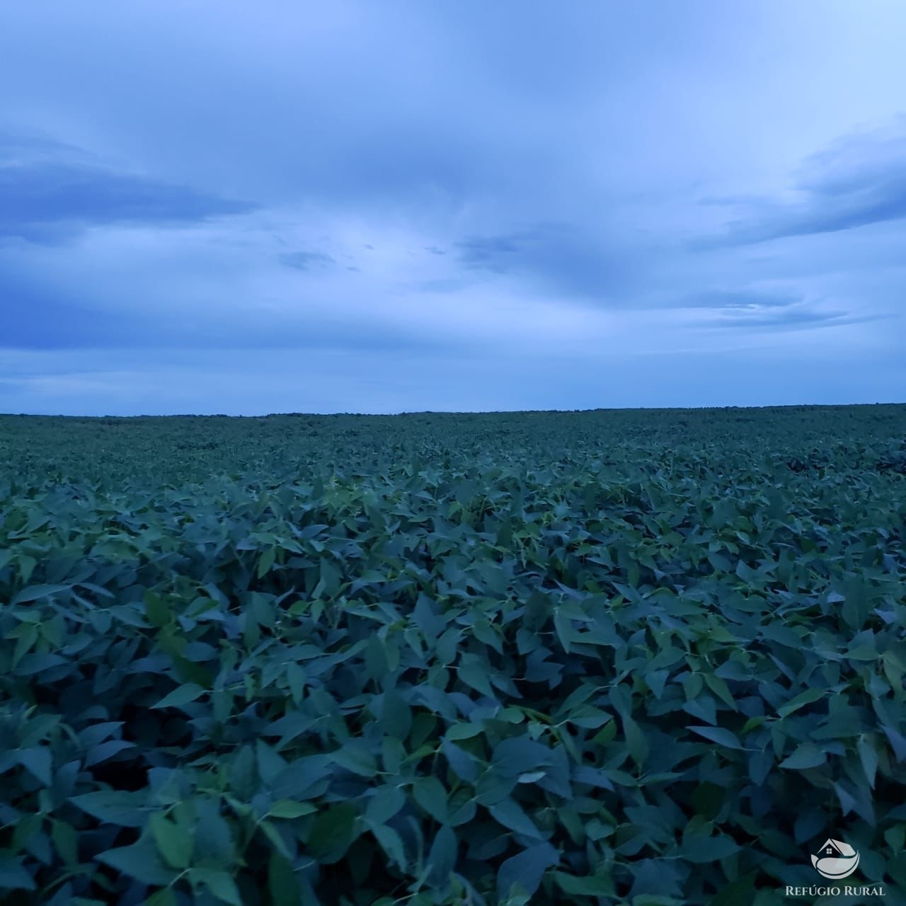 Fazenda à venda com 1 quarto, 37710000m² - Foto 5