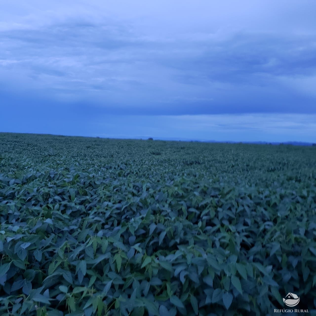 Fazenda à venda com 1 quarto, 37710000m² - Foto 22