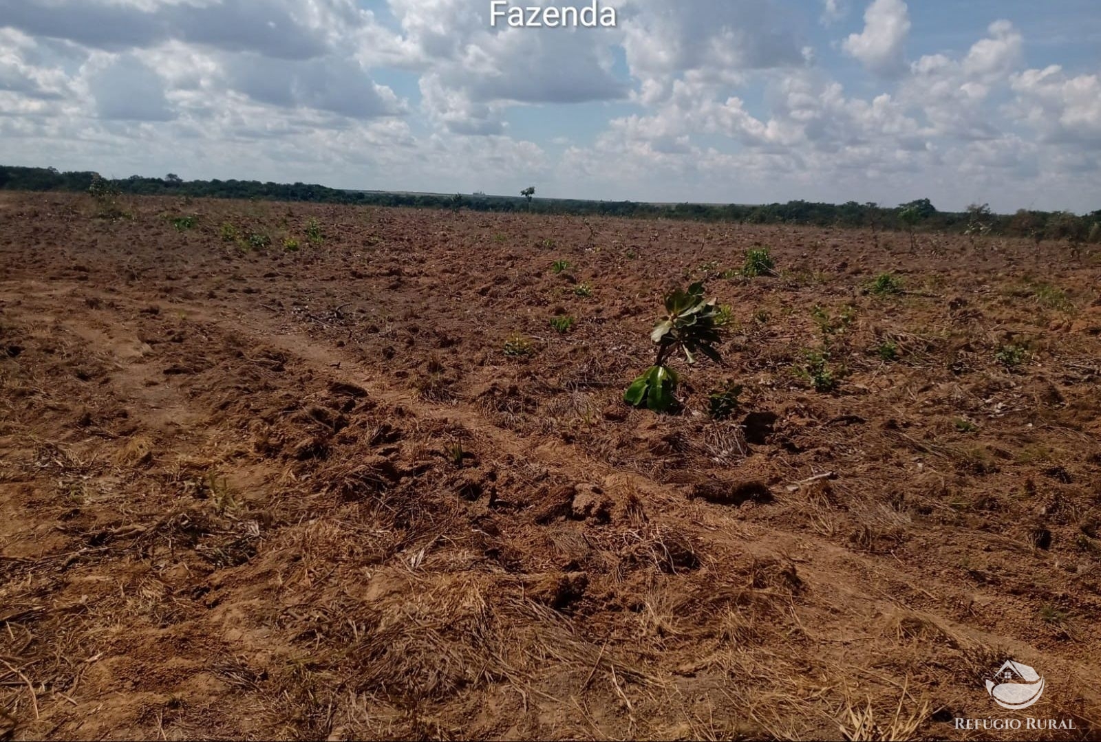 Fazenda à venda com 1 quarto, 37710000m² - Foto 20