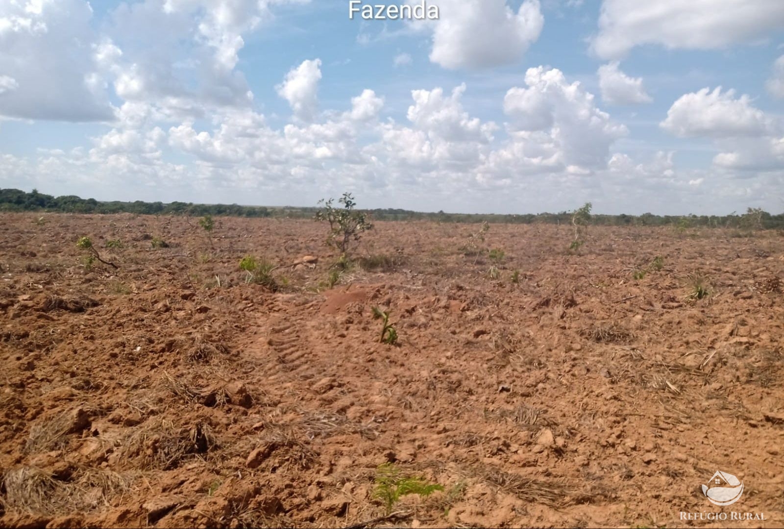 Fazenda à venda com 1 quarto, 37710000m² - Foto 19