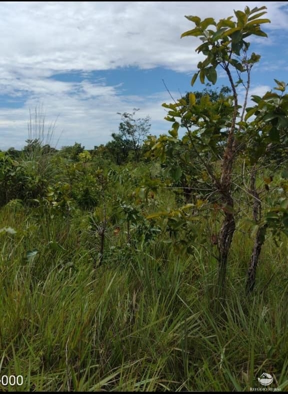 Fazenda à venda com 1 quarto, 37710000m² - Foto 16