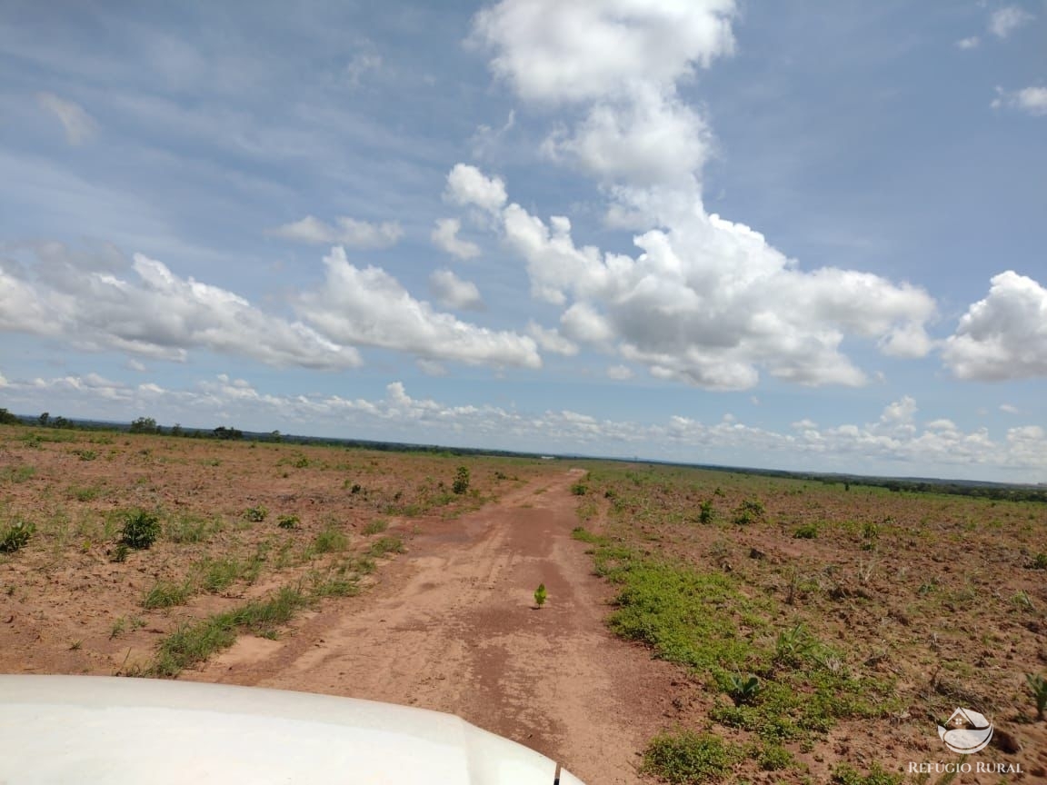 Fazenda à venda com 1 quarto, 37710000m² - Foto 7