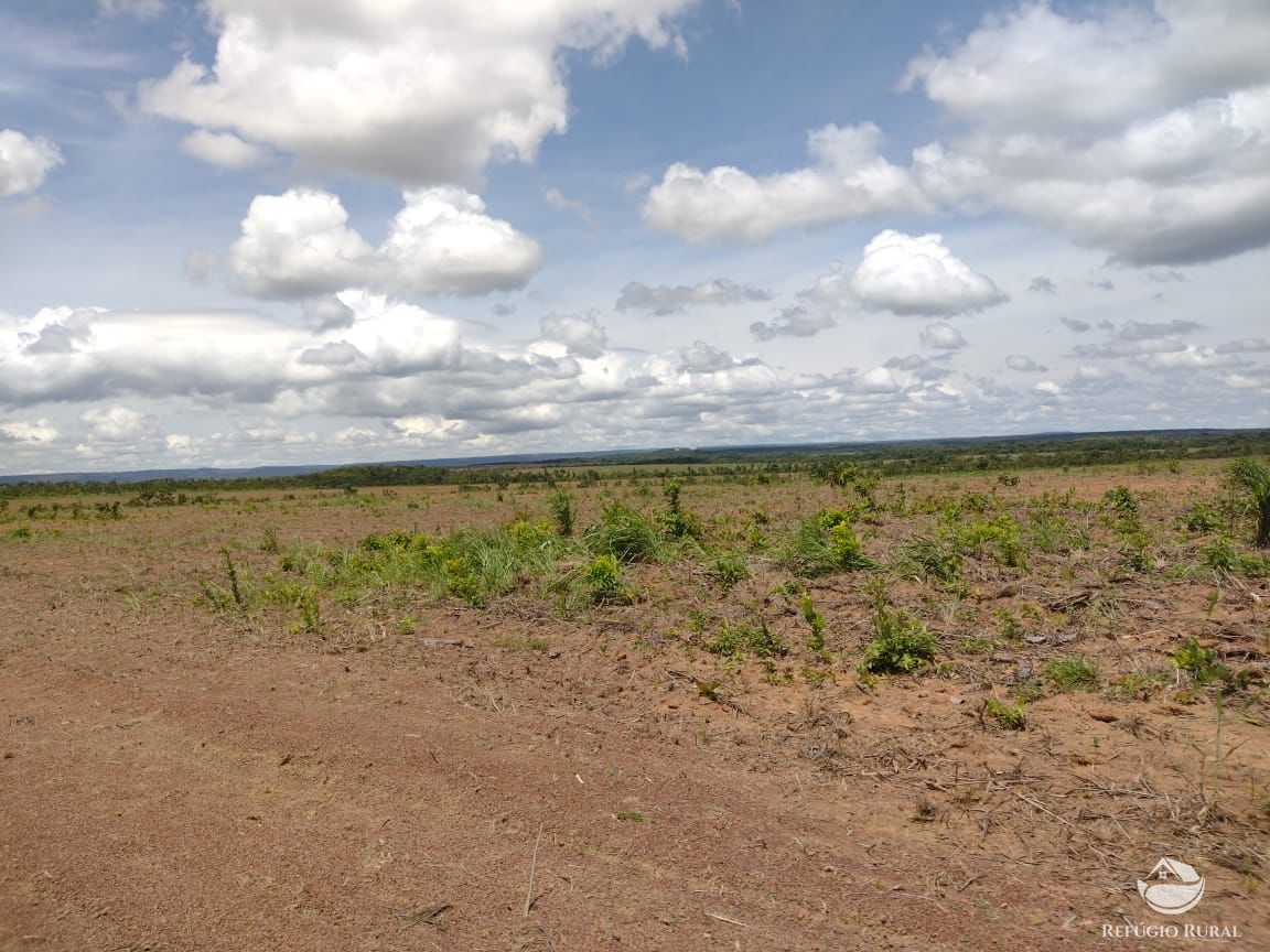 Fazenda à venda com 1 quarto, 37710000m² - Foto 17