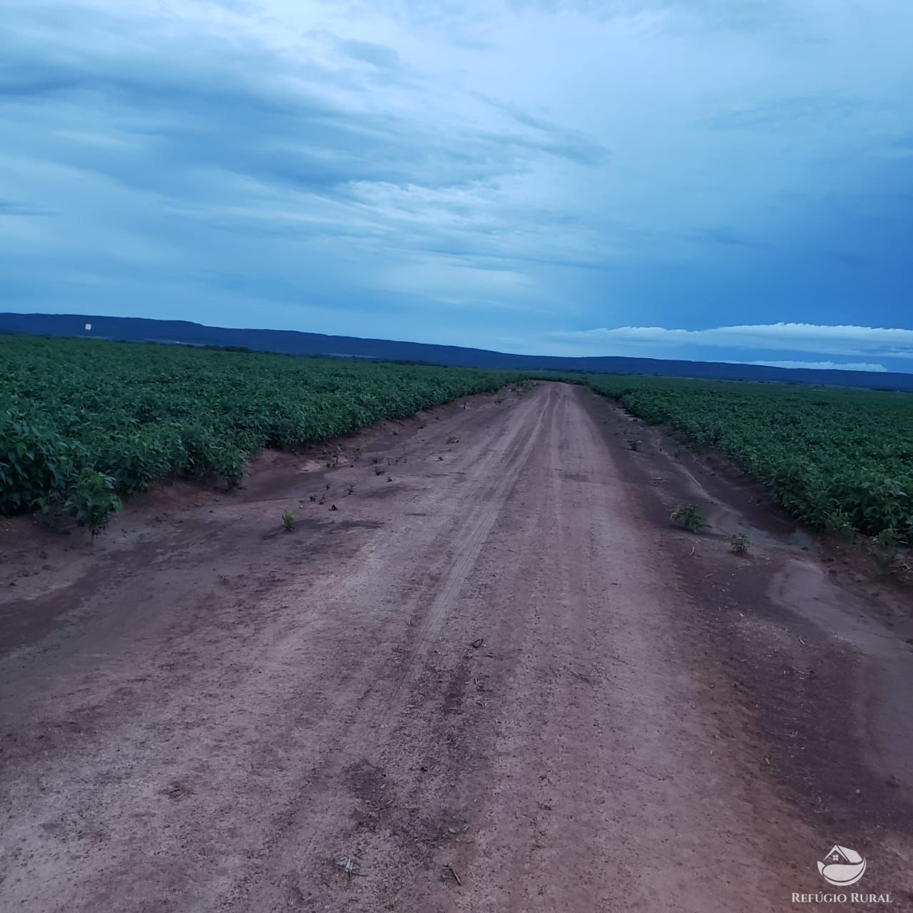 Fazenda à venda com 1 quarto, 37710000m² - Foto 13