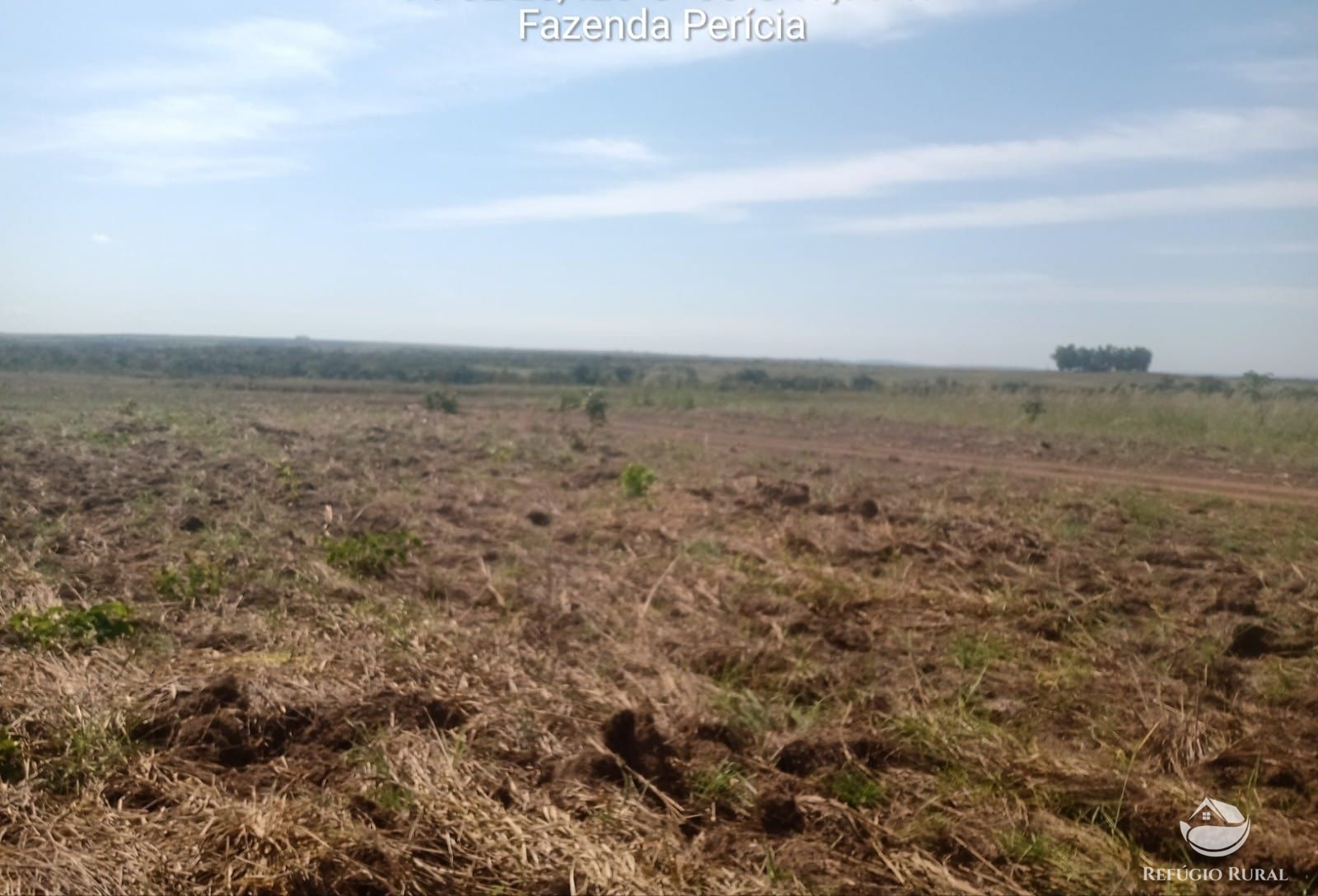 Fazenda à venda com 1 quarto, 37710000m² - Foto 11