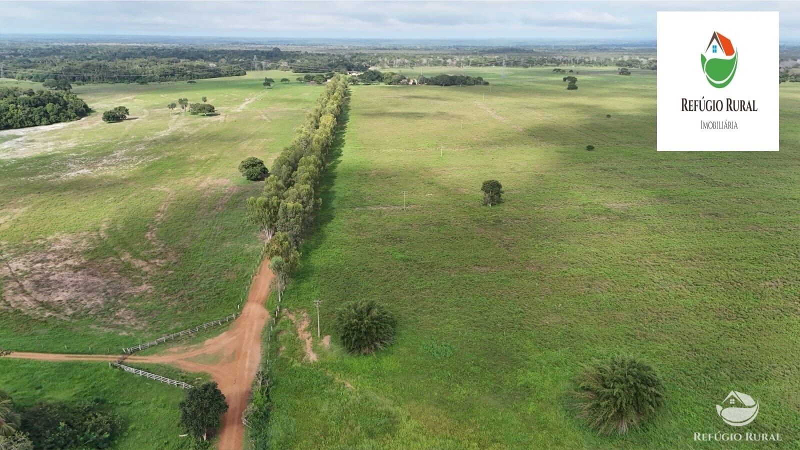 Fazenda à venda com 1 quarto, 22310000m² - Foto 7