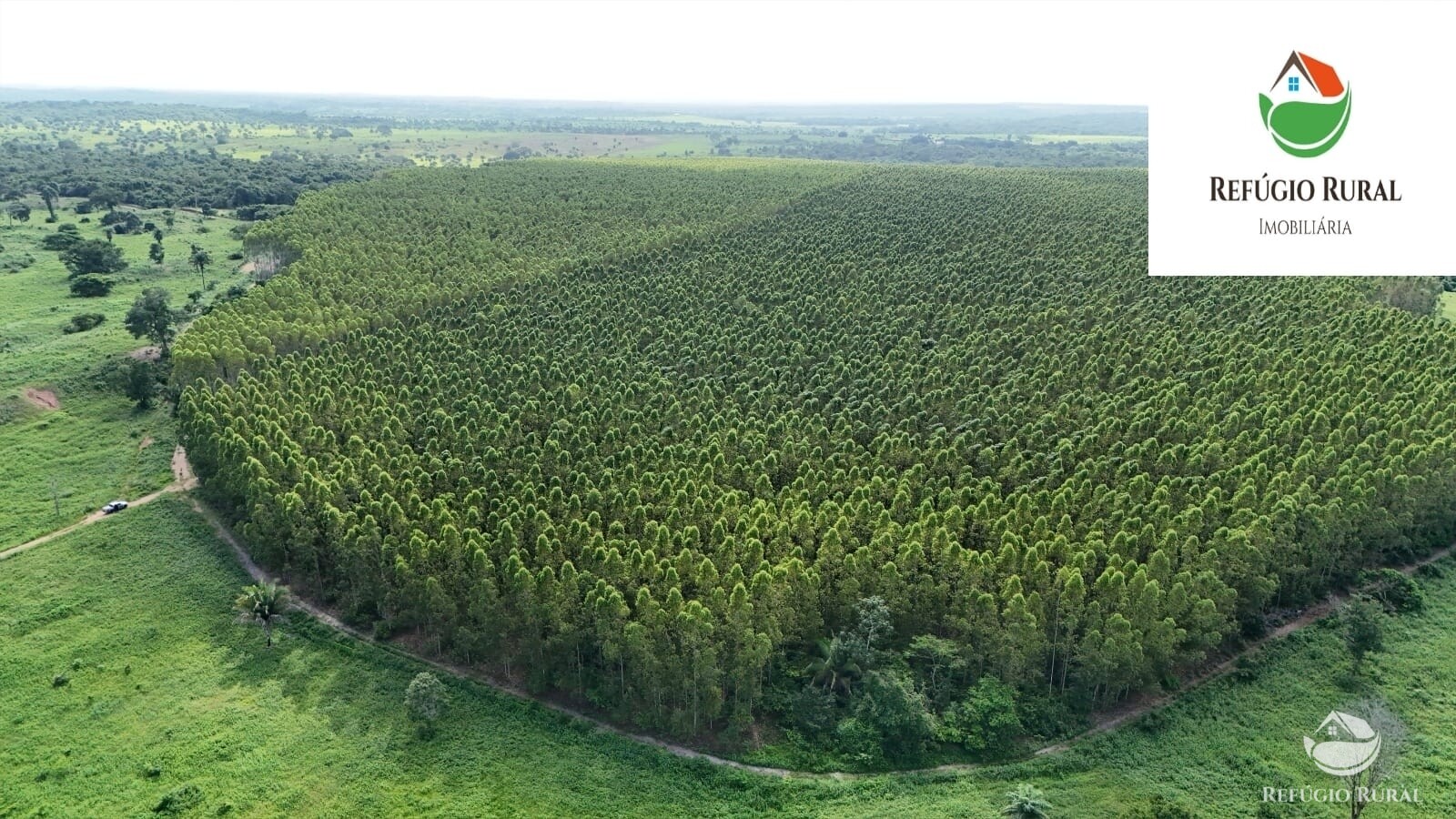 Fazenda à venda com 1 quarto, 22310000m² - Foto 2