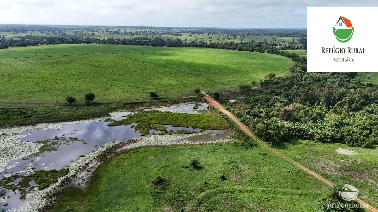 Fazenda à venda com 1 quarto, 22310000m² - Foto 1